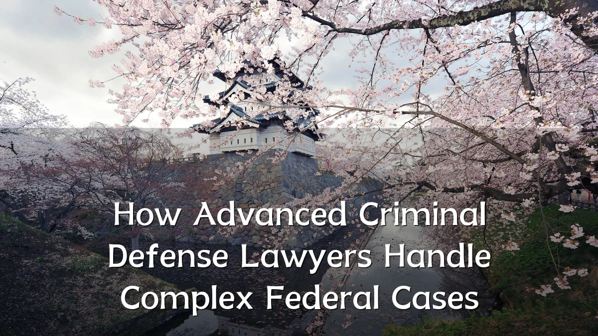 How Advanced Criminal Defense Lawyers Handle Complex Federal Cases