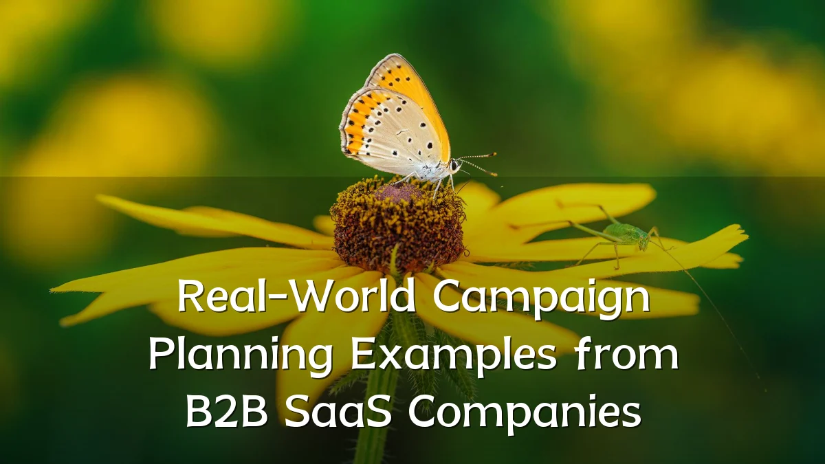 Real-World Campaign Planning Examples from B2B SaaS Companies