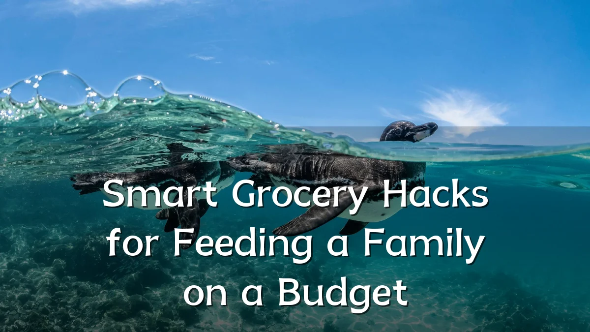 Smart Grocery Hacks for Feeding a Family on a Budget