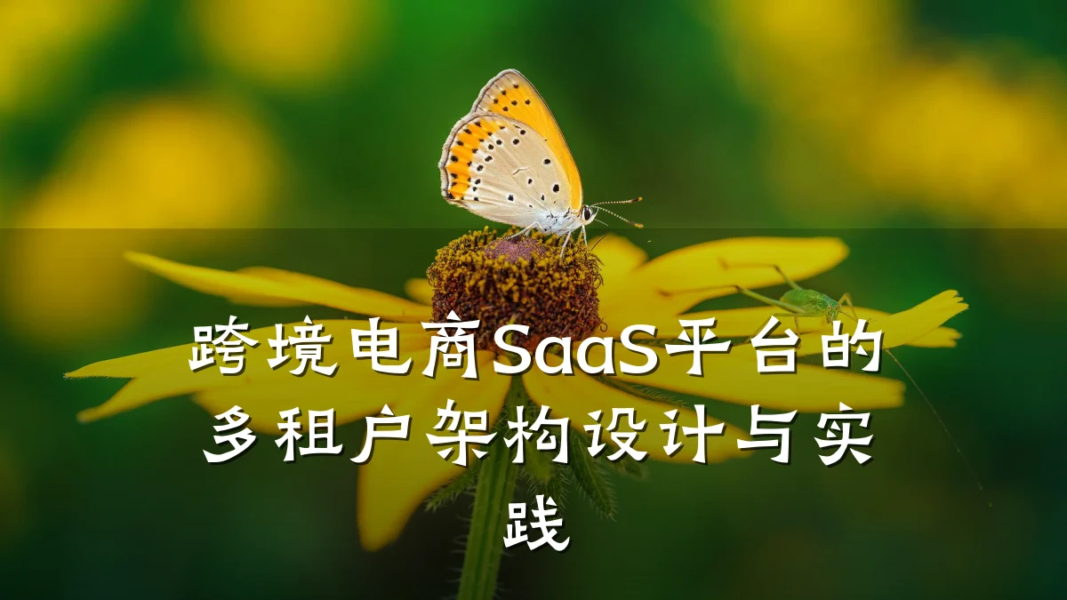 跨境电商SaaS平台的多租户架构设计与实践