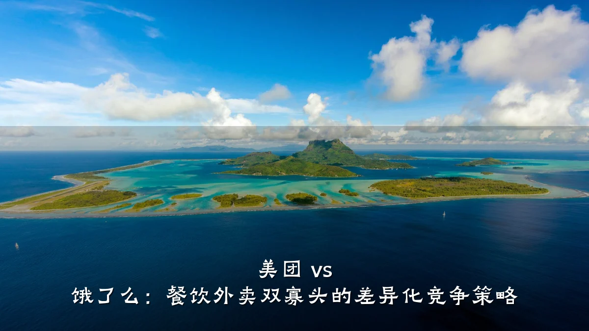 美团 vs 饿了么：餐饮外卖双寡头的差异化竞争策略