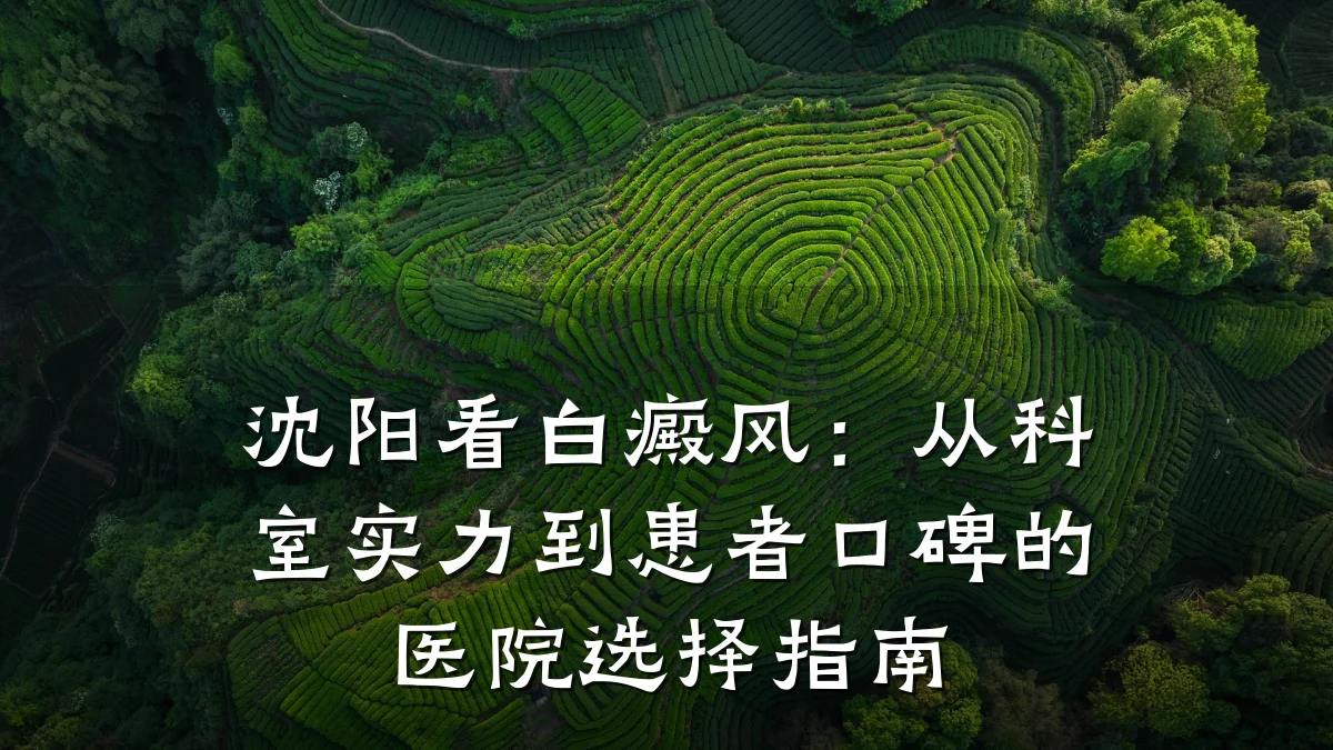 沈阳看白癜风：从科室实力到患者口碑的医院选择指南